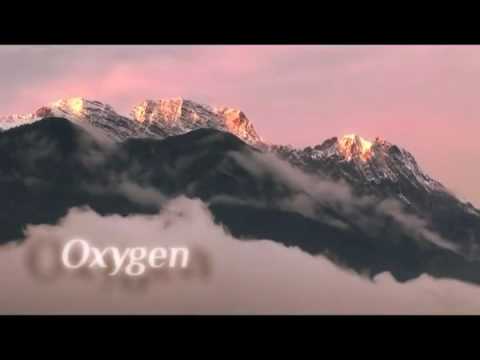 Видео: Дэвид Белль и Сирил Раффаэлли. Паркур