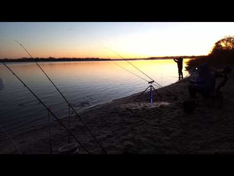 Видео: Закриваю НІЧНИЙ ФІДЕР 2025...але це не точно...#FishTrip #40