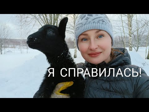 Видео: Восстановление Яшмы после пареза/ ЗЦМ/ Кормление ягнят/ Зааненские козы/ Ветеринарные  препараты