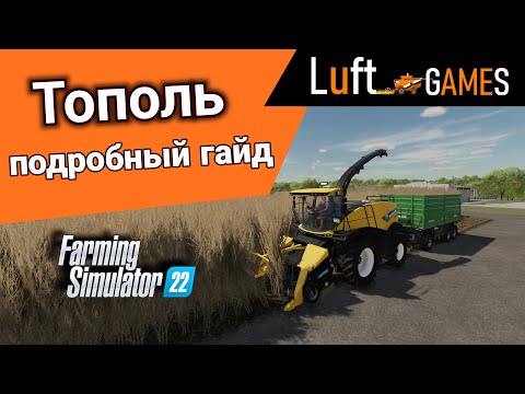 Видео: Тополь: выгода и особенности выращивания | Farming Simulator 22