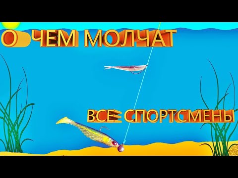 Видео: ХАПУГА снасть о которой никому не говорят! Самая БРАКОНЬЕРСКАЯ снасть которую запретили...