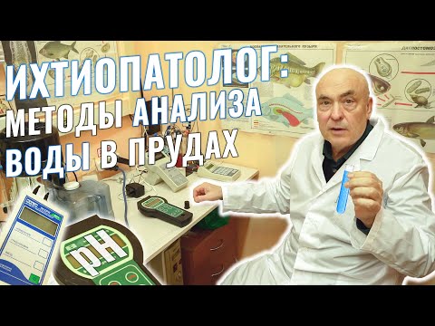 Видео: Эти знания помогут сохранить рыбу в вашем пруду! Методы гидрохимического анализа воды в водоёмах