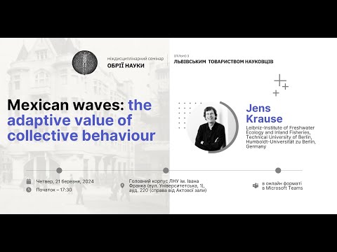 Видео: «Обрії науки» 21 03 2024:  Mexican waves: the adaptive value of collective behaviour