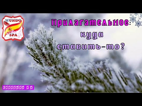 Видео: 187. МЕСТО прилагательного - После существительного или Перед ним? Уровень B1.