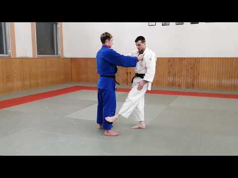 Видео: Okuri ashi harai.Обзор броска и его выполнение.