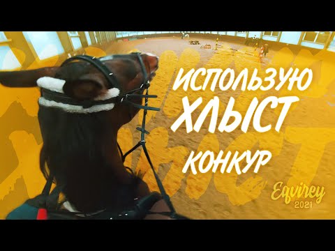 Видео: использую ХЛЫСТ | КОНКУР | GoPro