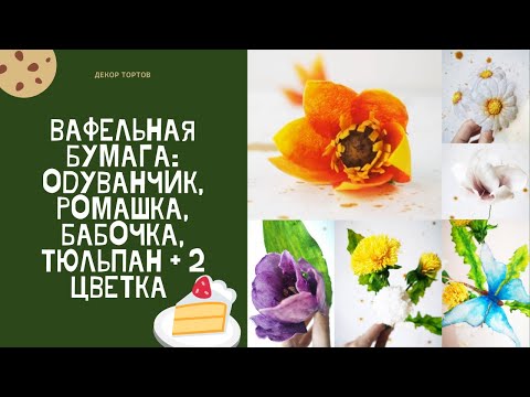 Видео: Вафельные цветы. Одуванчик, бабочка, тюльпан. Wafer paper flowers. Dandelion, butterfly, tulip, etc.