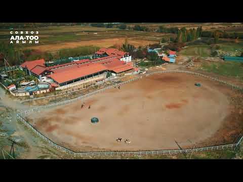 Видео: Совхоз Ала-Тоо ЫНТЫМАГЫ. с. Кара-Жыгач. с. Бек-Тоо. 21.10.2023 год. (Видео на дроне)