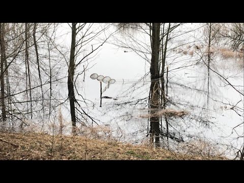 Видео: ОХОТА НА ЩУКУ НАЧАЛАСЬ!?