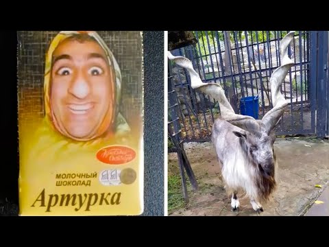Видео: Фото от подписчиков 14 часть
