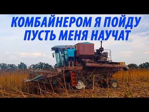 Видео: Открыл курсы комбайнера на самодельном комбайне. Осваиваем новую профессию на уборке подсолнечника.