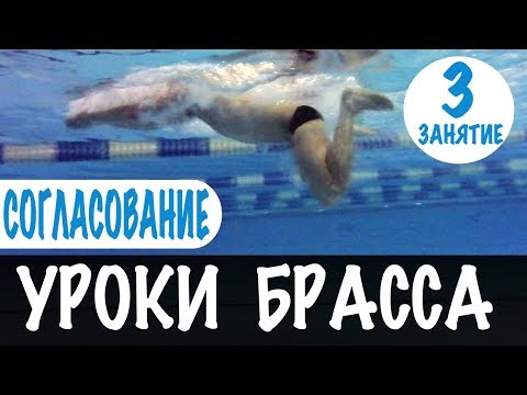 Видео: КЛЮЧ К УСПЕХУ В БРАССЕ. СОГЛАСОВАНИЕ РУК И НОГ. УРОКИ БРАССА. УРОК 3 @SwimUpRu