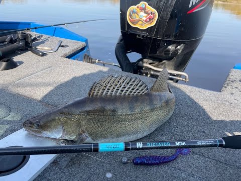 Видео: Поиски судака, щуки HumminbirdОМ solix 10! Тест Спиннинга Relax Dictator.