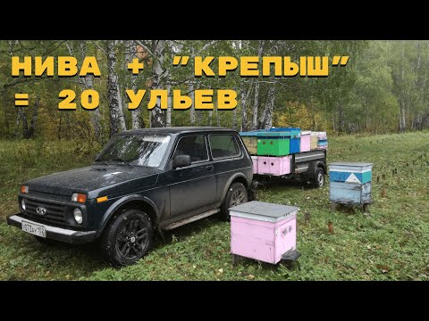 Видео: Нива + "крепыш" = 20 ульев.