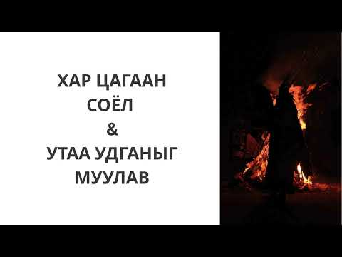 Видео: Ташуур улаач_Хэм хэмжигдэхүүн ба соёл