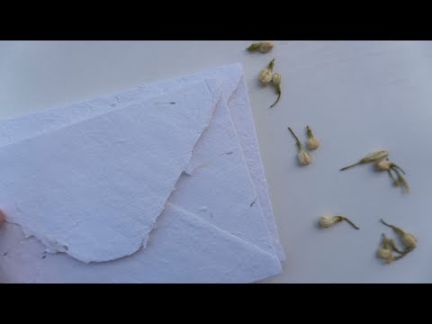 Видео: Бумага ручного литья с семенами одуванчика