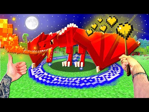 Видео: ПРИРУЧИЛ ВОЛШЕБНОГО ДРАКОНА! МАГИЯ В МАЙНКРАФТ