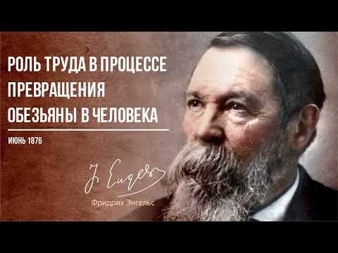 Видео: Фридрих Энгельс — Роль труда в процессе превращения обезьяны в человека (06.76)