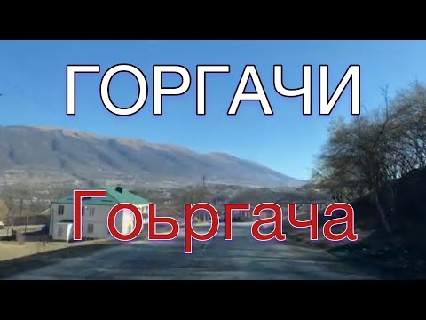 Видео: ГОРГАЧИ