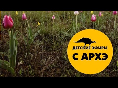 Видео: Весеннее пробуждение | Александр Хабургаев (выпуск 10)