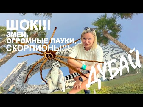 Видео: МУЗЕЙ БУДУЩЕГО ДУБАЙ- АЖИОТАЖНЫЙ СПРОС.Бронировали  за МЕСЯЦ!!! THE GREEN PLANET DUBAI - ГРАНДИОЗНО!