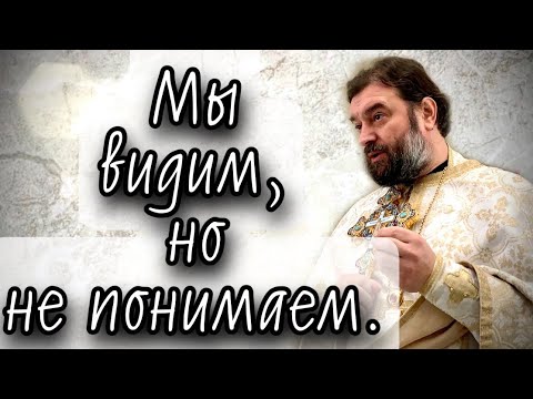 Видео: Видим, слышим и не понимаем. Протоиерей  Андрей Ткачёв.