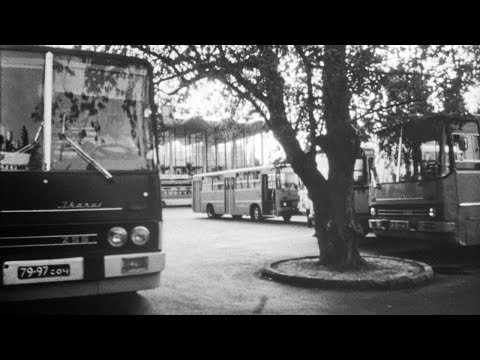 Видео: На стальных магистралях СССР №245, 1985