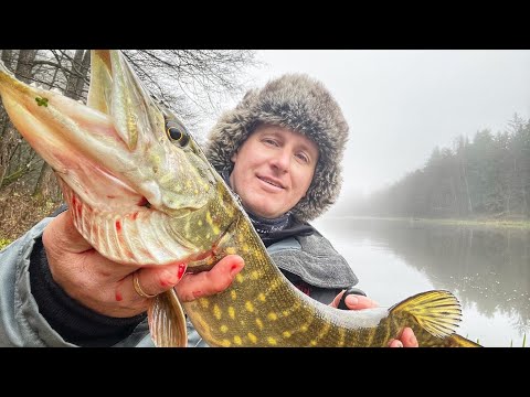 Видео: ЛОВЛЯ ЩУКИ НА ПОПЛАВОК | РЫБАЛКА НА ЖИВЦА ОСЕНЬЮ | PIKE FISHING