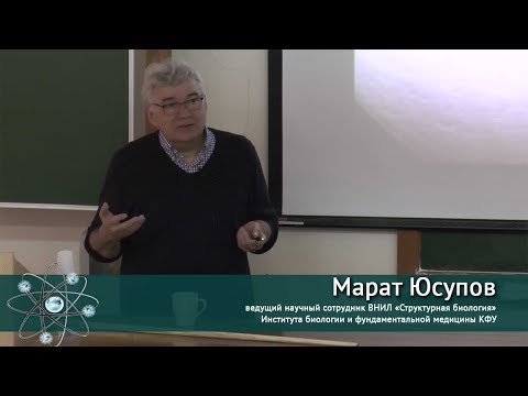 Видео: Кристаллические структуры эукариотических и бактериальных рибосом