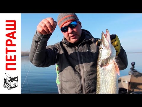 Видео: Ловля КРУПНОЙ ЩУКИ на спиннинг осенью Силиконовые приманки Фанатик