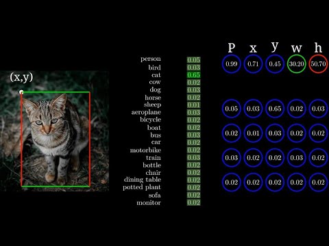 Видео: Давайте наглядно представим, как работает YOLO