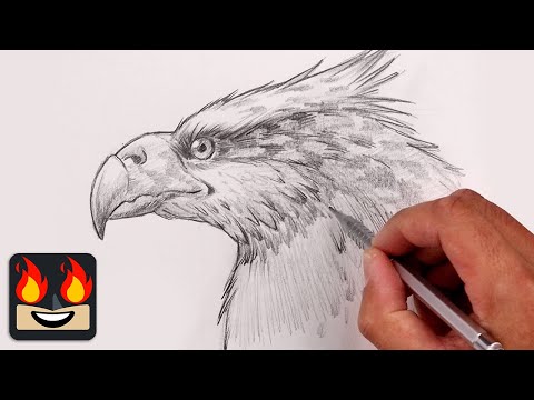 Видео: Как нарисовать гиппогрифа | Урок по наброскам в стиле Гарри Поттера