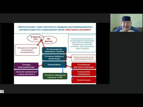 Видео: ДВС Афончиков В.С.