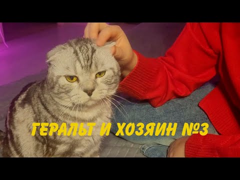 Видео: Геральт и хозяин номер 3