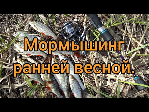 Видео: Мормышинг ранней весной. Уклейка и красноперка на мормышку.