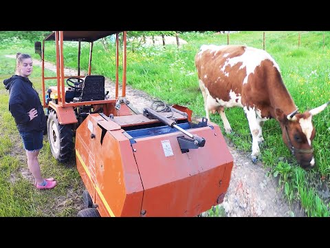 Видео: В деревне опять ЧП. Прессуем сено в рулоны. Корова отелилась