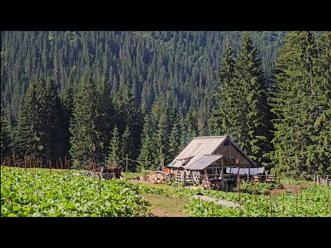 Видео: Шлях який вразив, від казкової Серилівки до зразкового Кевелева, день третій.  Липень '24