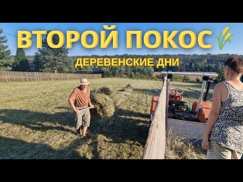 Видео: Второй покос. Сено, труд и деревенские будни