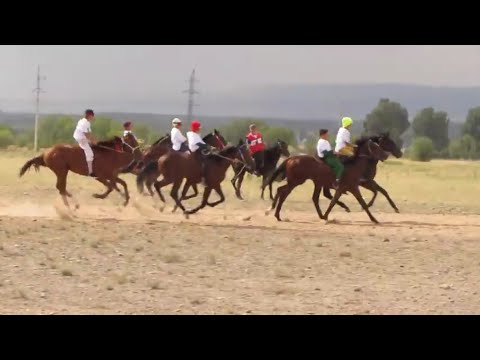 Видео: Ат оюндары /  Тай чабыш токмок 24.06.2022
