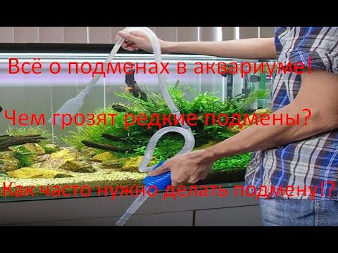 Видео: Зачем делать подмены в аквариуме!? Как часто это нужно делать?И что будет если...?