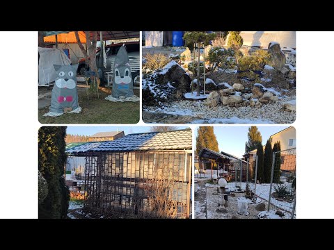 Видео: После урагана на даче. Прогулка-Обзор-Обновки