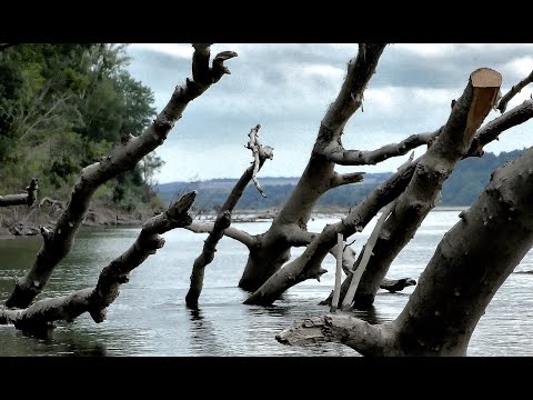 Видео: НАКОНЕЦ ТО ОБСКИЕ  КОРЯЖНИКИ И ПЕСКИ ЗАРАБОТАЛИ! Рыбалка на Алтае , спад высокой воды 2024.