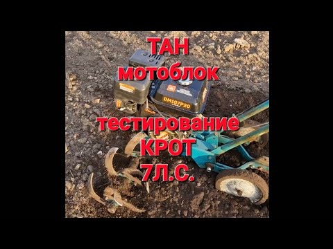 Видео: Фрезерование культиватором КРОТ. Тест 4-х тактного(7л.с.) двигателя.