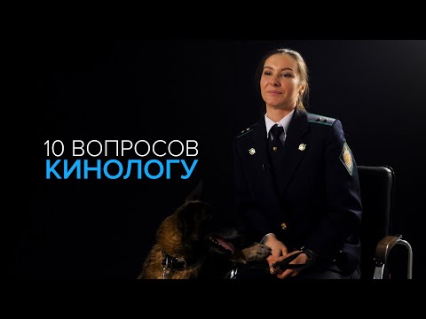 Видео: 10 вопросов кинологу