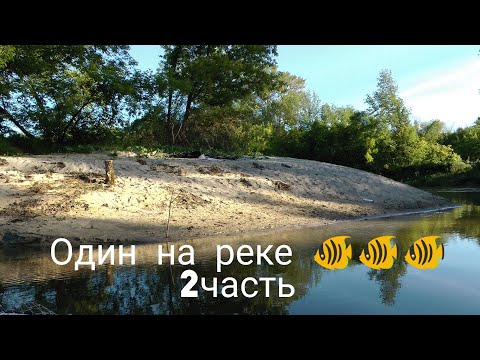 Видео: Первая Рыбалка На Реке Ворона (2часть)
