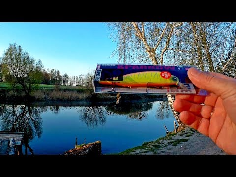 Видео: Как играет (Megabass) Ito Shiner Копия от BEARKING