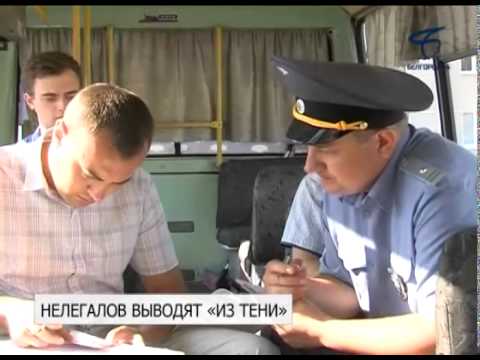 Видео: В Белгороде продолжаются рейды по выявлению нелегальных перевозчиков