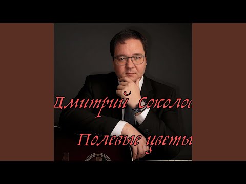 Видео: Полевые цветы