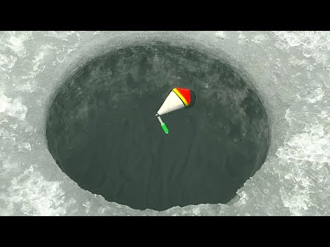 Видео: В ЭТОЙ ЛУНКЕ...КРУПНЯК ШАРАШИТ ПОПЛАВОК и КИВОК. Санки рыбы! Зимняя рыбалка 2024