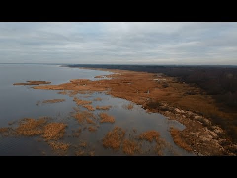 Видео: Новый способ ловли налима | Рыбалка на Ладоге